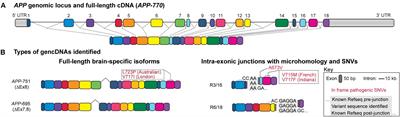 Mosaic Somatic Gene Recombination as a Potentially Unifying Hypothesis for Alzheimer’s Disease